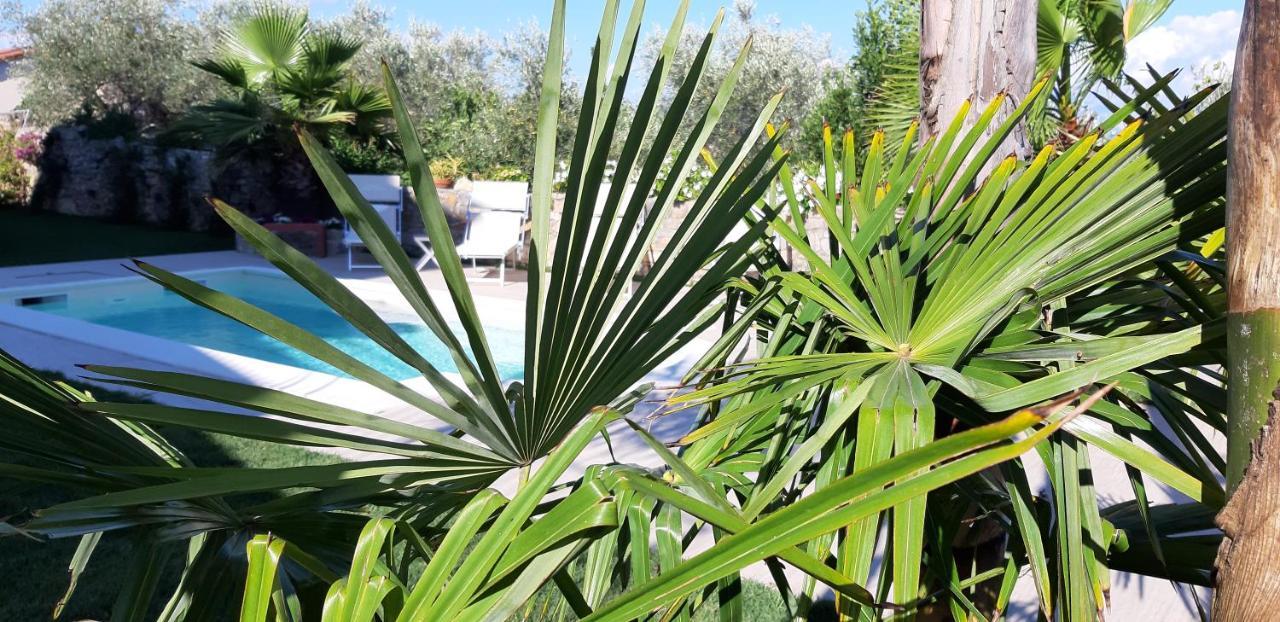 Dreams Guest House لا سبيتسْيا المظهر الخارجي الصورة