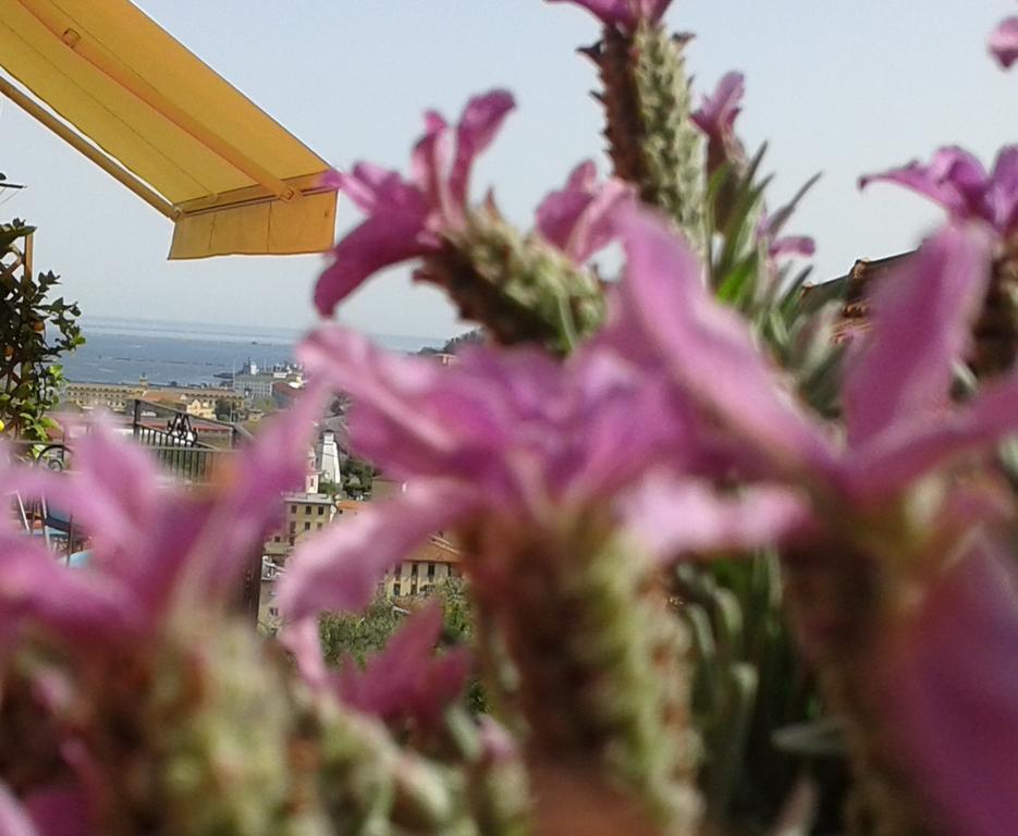 Dreams Guest House لا سبيتسْيا المظهر الخارجي الصورة