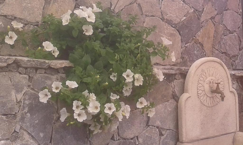 Dreams Guest House لا سبيتسْيا المظهر الخارجي الصورة