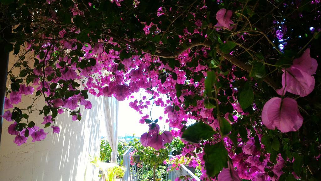 Dreams Guest House لا سبيتسْيا المظهر الخارجي الصورة